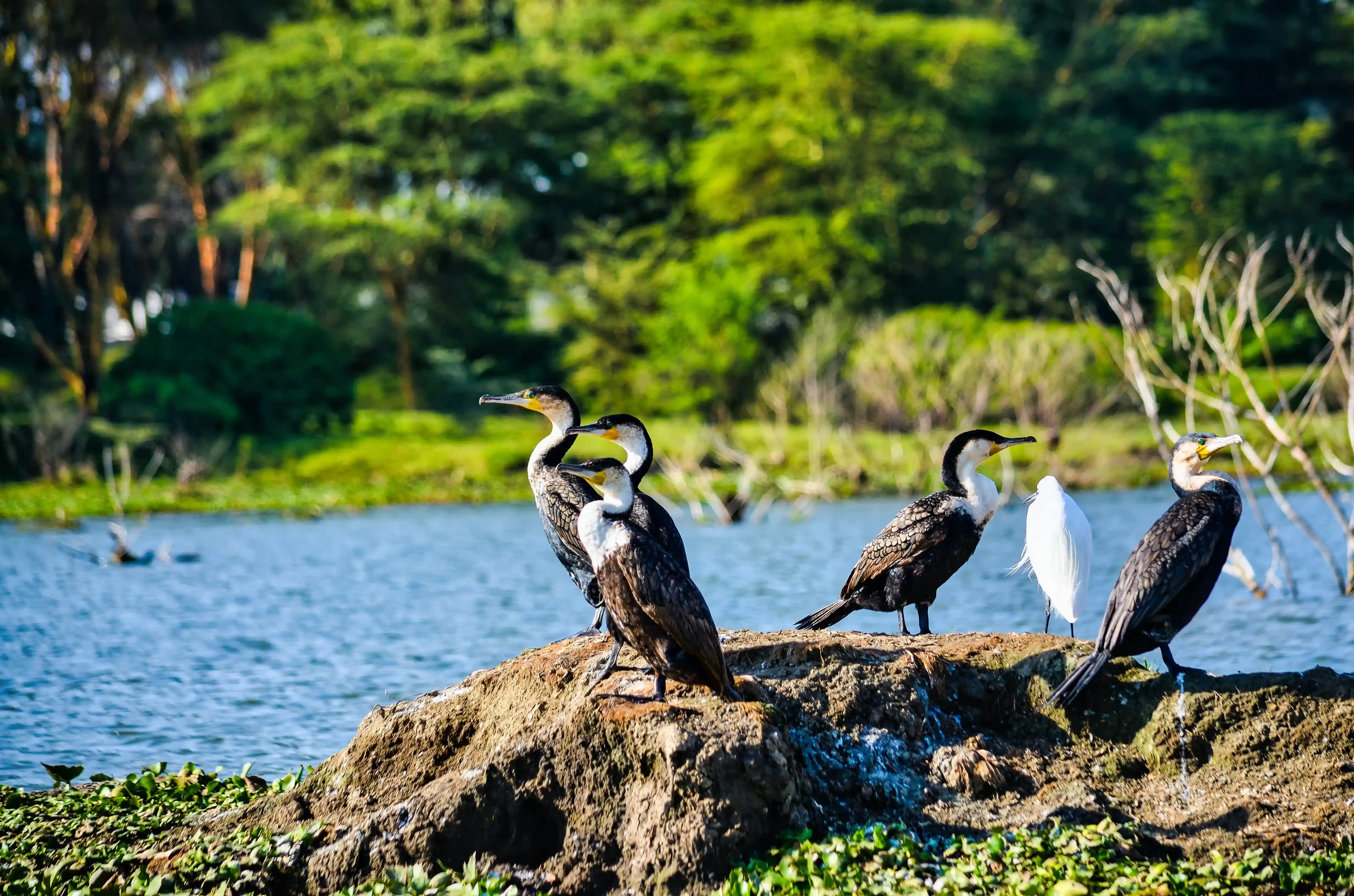 Ngorongoro Rim Lodge