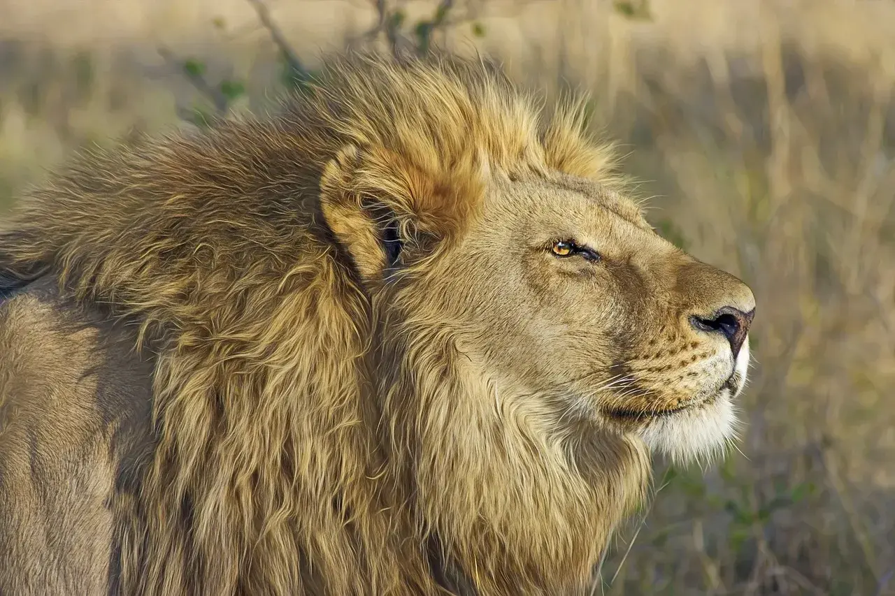 7-Day Serengeti Ngorongoro Zanzibar