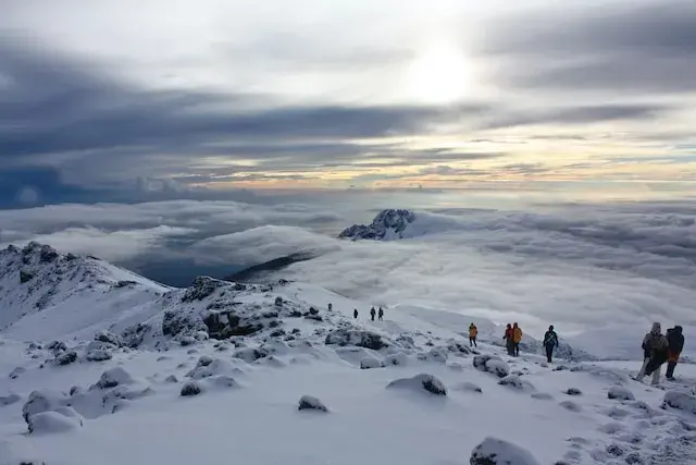 Machame rainforest trail