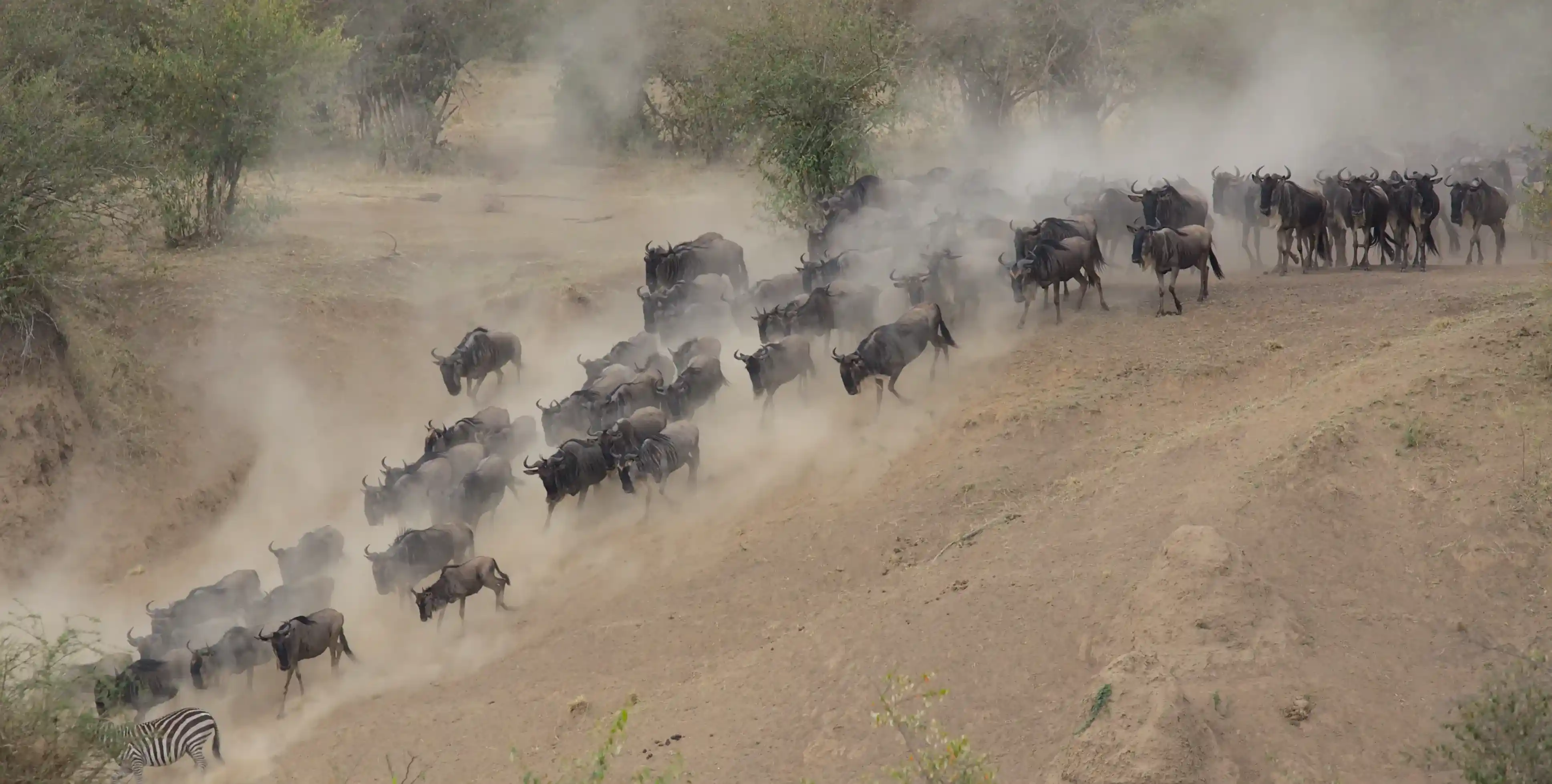 Serengeti National Park