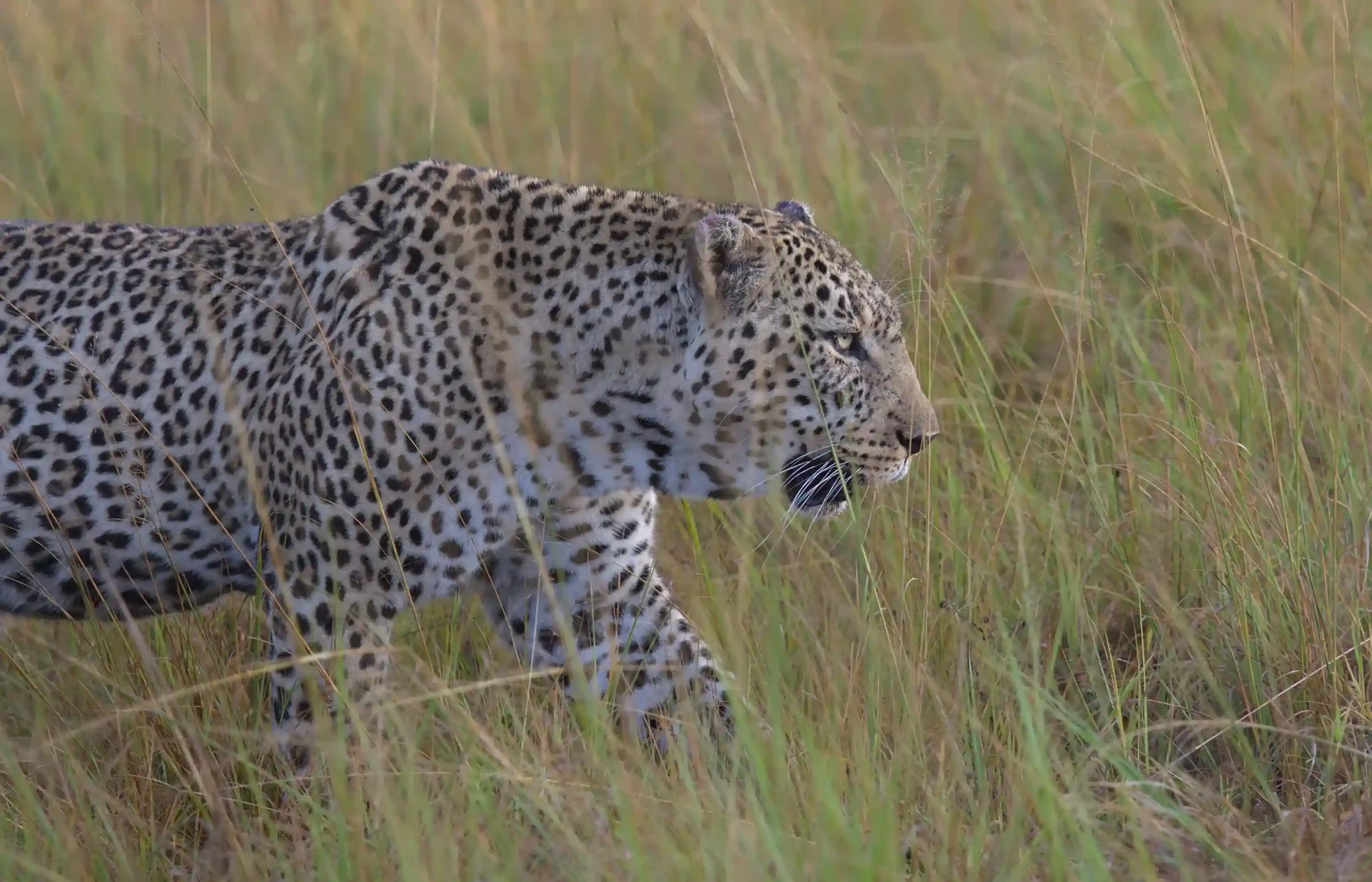 Tarangire & Lake Manyara