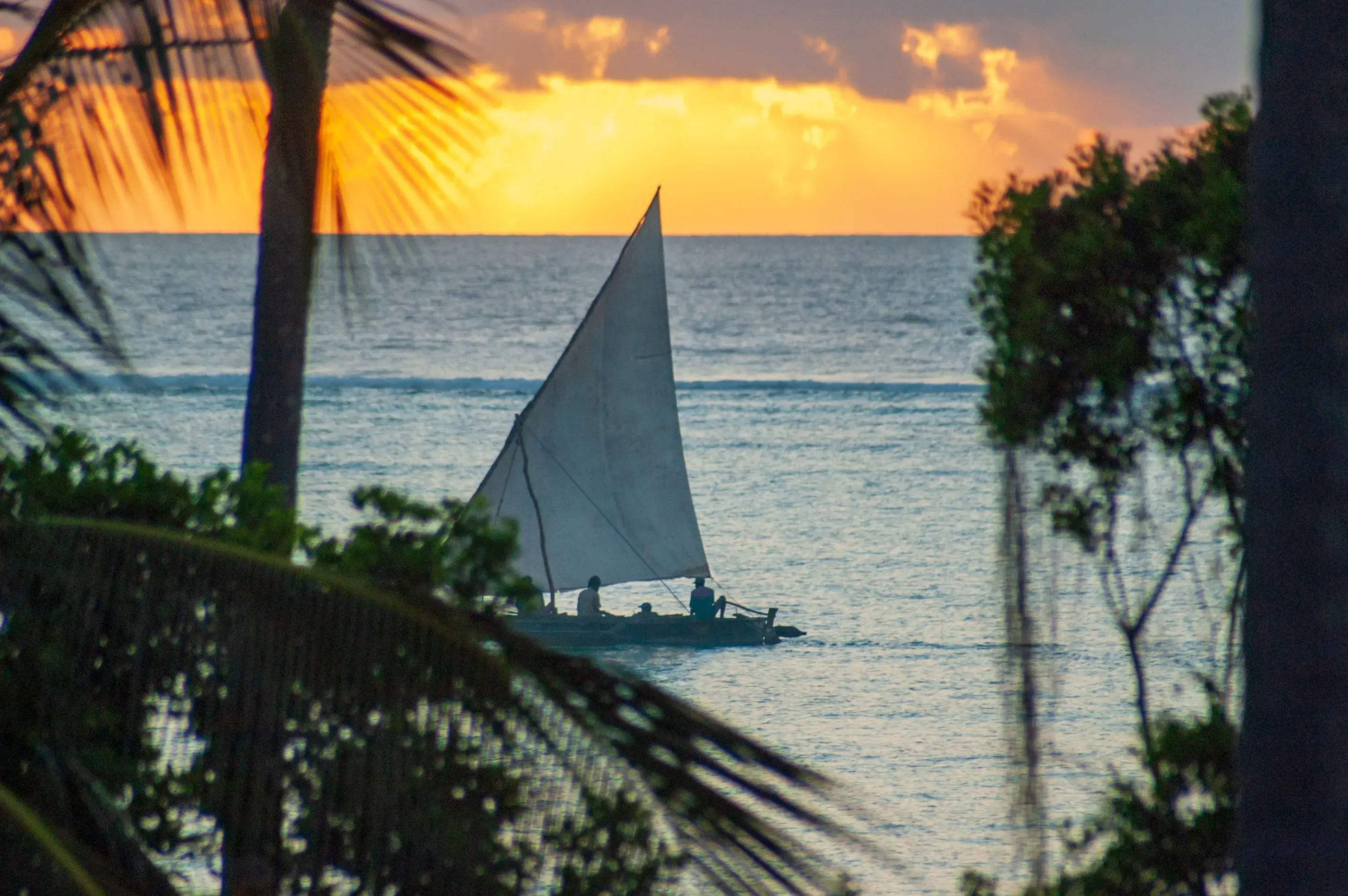 Safari and Zanzibar package signature journey
