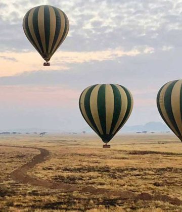 Tanzania and Kenya Safari Extravaganza