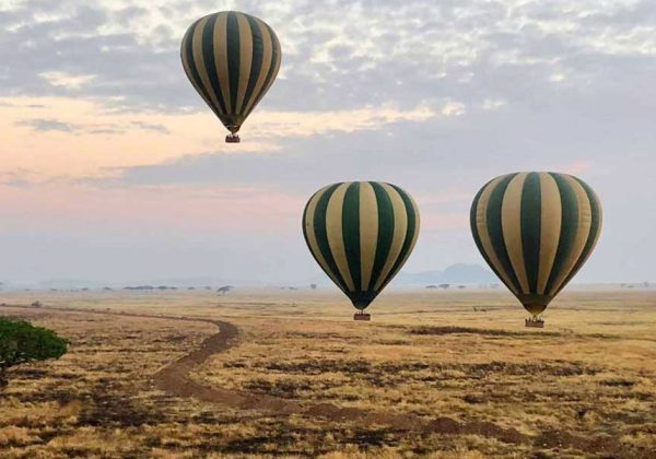 Tanzania and Kenya Safari Extravaganza