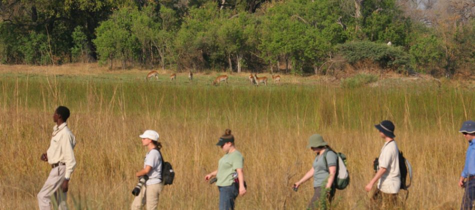 Botswana-Walking