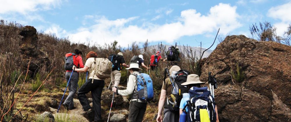 Kilimanjaro Hiking