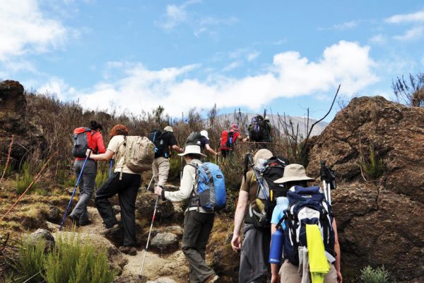 Kilimanjaro Hiking
