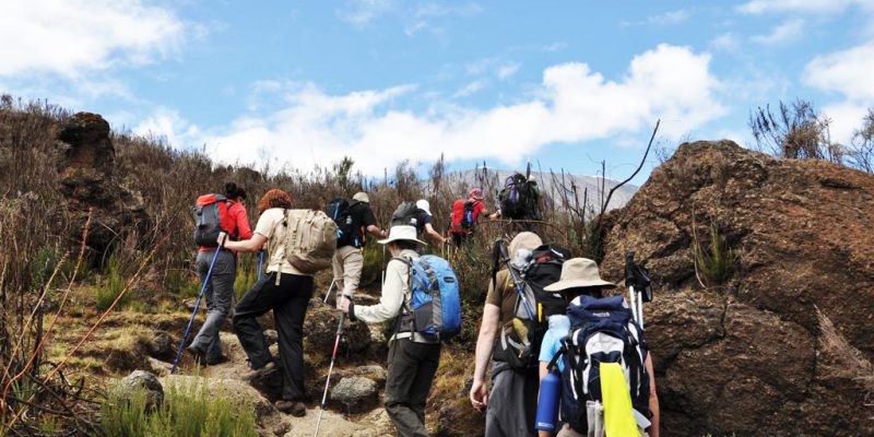 Kilimanjaro Hiking