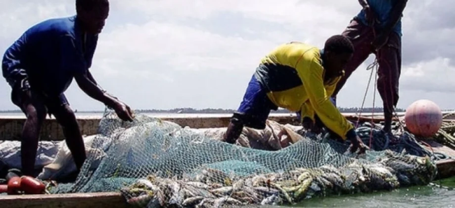 Fishing Activities in Lake Tanganyika