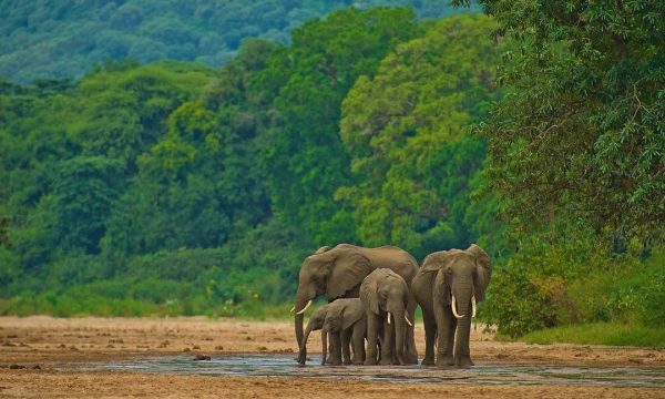 Manyara-02